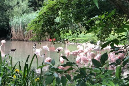 Stadtnaehe Und Doch Mitten In Der Natur Salzburg Luaran gambar